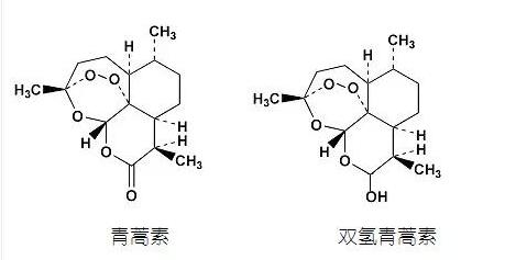 创新药多点开花 昆药集团公布双氢青蒿素研制进展